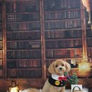 엠코코(Mcoco) 이미지