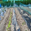 무럭이농장 이미지