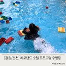 본헤어랜드 | 레고랜드 호텔 프로그램 수영장 예약 이용 후기 + 시간표