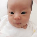 진성어린이집 이미지