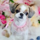 싹독싹독 이미지