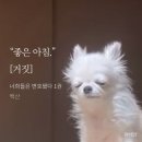 개편한세상카페 | 나는 모든 것을 회피하기로 마음먹었다