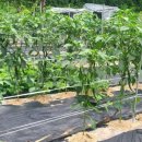 점동보건지소 이미지