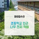 신라궁전타운 | 군포벌목업체 학교 나무 전지작업