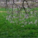 경상목장 이미지