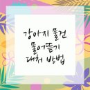 서울 베스트 동물병원 | 미추홀구동물병원 찾는다면💡 꼼꼼하고 따뜻한 인천 서울든든동물병원 인천 방문후기