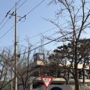 듀레베이커리 | 충주 대형카페 추천 | 듀레베이커리 본점 | 베이커리 맛집 후기