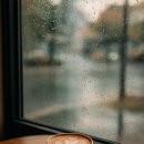 카페호와 이미지