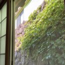 경희민박 이미지