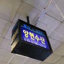 (주)활어천국 | 주말 노량진 방문 꿀팁｜양현수산, 탐나전복, 구이천국