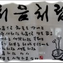 아기새어린이집 이미지