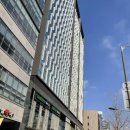 강남-211 이미지