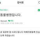 내아이 동물병원 이미지