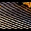 교하초교(병설) 이미지