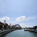 pet08너1077 | 호주간호사 적응기 8주차) 시드니 일상, 페더데일 동물원, The rocks, 록스마켓, pancake on the rocks...