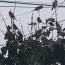 예미 경로당 이미지