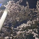 장자대로 이미지