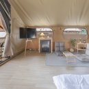 센티마르 이미지