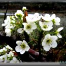 마음의 문 이미지