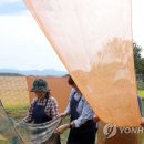 염색하기좋은날 이미지