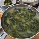 전라도똑소리 | [여수맛집] 여수 부일식당 웅천점 서대회무침 내돈내산 재방문 후기