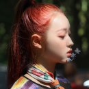 숲의 아이 이미지