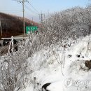 오서1천 이미지