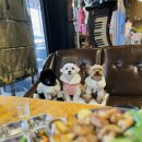 파주알곱창 이미지