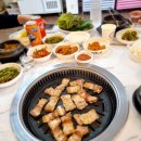 핑크돼지 이미지