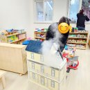 비룡초교병설유치원 이미지