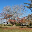 파워골프 이미지