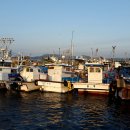 군산세무서 이미지