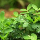 성수문량길 이미지