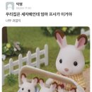 러브얼스 이미지