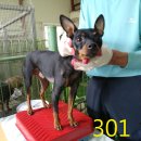 남동서로 이미지