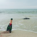 한림읍 월령리마을 이미지