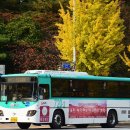 청솔마을.주공9단지.동아아파트 이미지