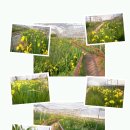 창포농장 이미지