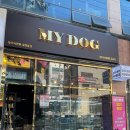 MY DOG(마이도그) 이미지