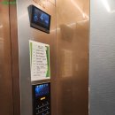 삼부스포렉스 이미지