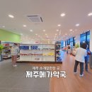 신생약국 | 제주메가약국 오픈 후기｜창고형약국 제주입성! 상비약 쟁이러 다녀온 솔직후기