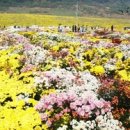 고향부동산중개사무소 이미지