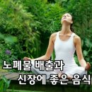 신장이용원 Daum카페