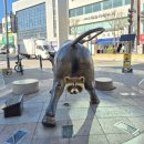 아바 헬스 | 실향민들의 그리움,청초호의 바람과 별빛