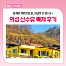 숲실의 집 | 내년에 또 만나요~ 몸과 마음이 힐링되는 '의성 산수유 축제' 후기