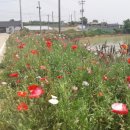 고창 마을회관 이미지