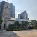 [성지순례] 126년 역사의 원주 주교좌 원동성당 이미지