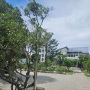 주정차033 이미지