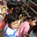 여물소농장 이미지