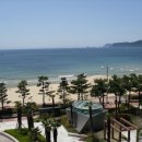 팔레드시즈 이미지